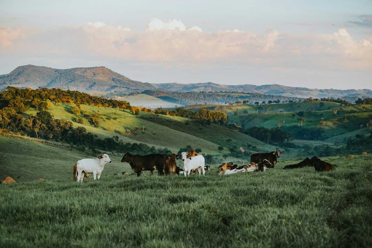 ranch tax losses